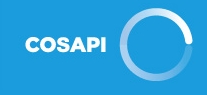 Cosapi Chile S.a. Sucursal Del Peru