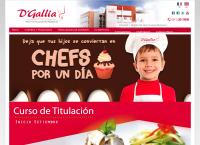 Sitio web de Instituto Superior Tecnologico Privado Alta Cocina D'gallia