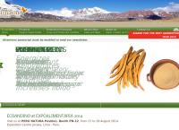 Sitio web de Ecoandino S.A.C