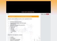 Electro Service Montajes S.r.l