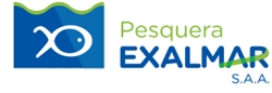 Pesquera Exalmar S a