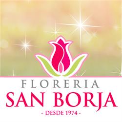 Floreria San Borja
