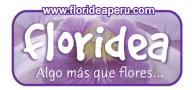 Floridea