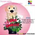 ARREGLO DE ROSAS Y PELUCHE