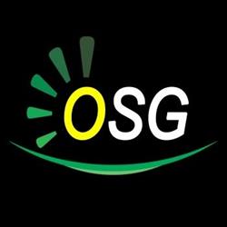 Occupational Safety Group Sac