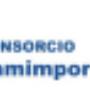 Logo famimport
