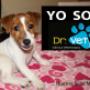 YO SOY DR-VET
