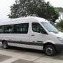 Sprinter