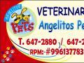 Angelitos Pets   E.i.r.l