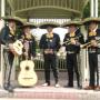 Mariachi Cantar de México