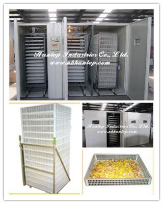 poultry-cage-breeding