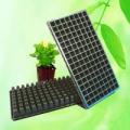 Multi Cell Bedding Plug Plant Seed Tray, Seed starter tray, Gro-Pro Humidity Tray with Grid, Cell punnet trays, plastic seed tray,cell plug tray, mult