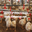 farm poultry equipment