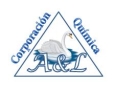 CORPORACION QUIMICA A Y L S.A.C.
