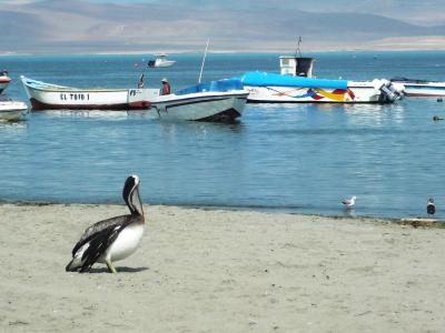 BALLESTAS