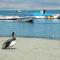 BALLESTAS