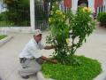 Servicio de Jardinería