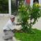 Servicio-de-Jardinería