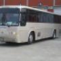 bus hyundai Plata