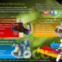 Servicios Jozuma