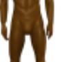 maniquie marron