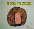 ACCESORIOS DESPEDIDAS
