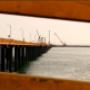 Muelle Video