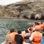Paracas e Islas Ballestas - Corporativo