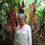 heliconia