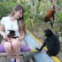 monkey