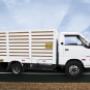 Camioneta Pickup