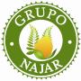 Grupo Najar
