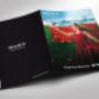 SONY-FLYER