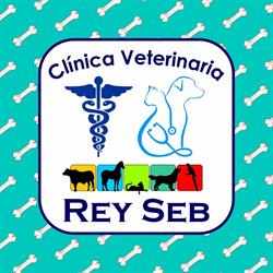Clínica Veterinaria REY SEB - Pucallpa