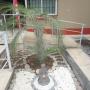 Nuestras instalaciones