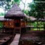 Lodge
