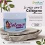 COLAGENO