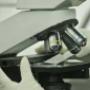 Microscopia