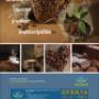 Aviso Revista Marcafe2