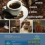 Aviso Revista Marcafe