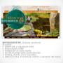 Web design company