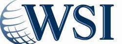 Wsi Webstrategia