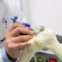 Medicina en 3D