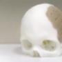 Medicina en General 3D