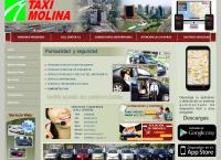 Sitio web de Taxi Molina