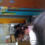 Subido por visitante en 24/11/2016 - Campañas de Salud