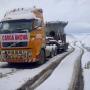 SERVICIO DE TRANSPORTE CON CAMA BAJA