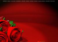 Sitio web de Lilia Flowers