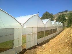 Invernaderos Agricolas
