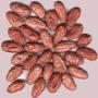 Cocoa beans